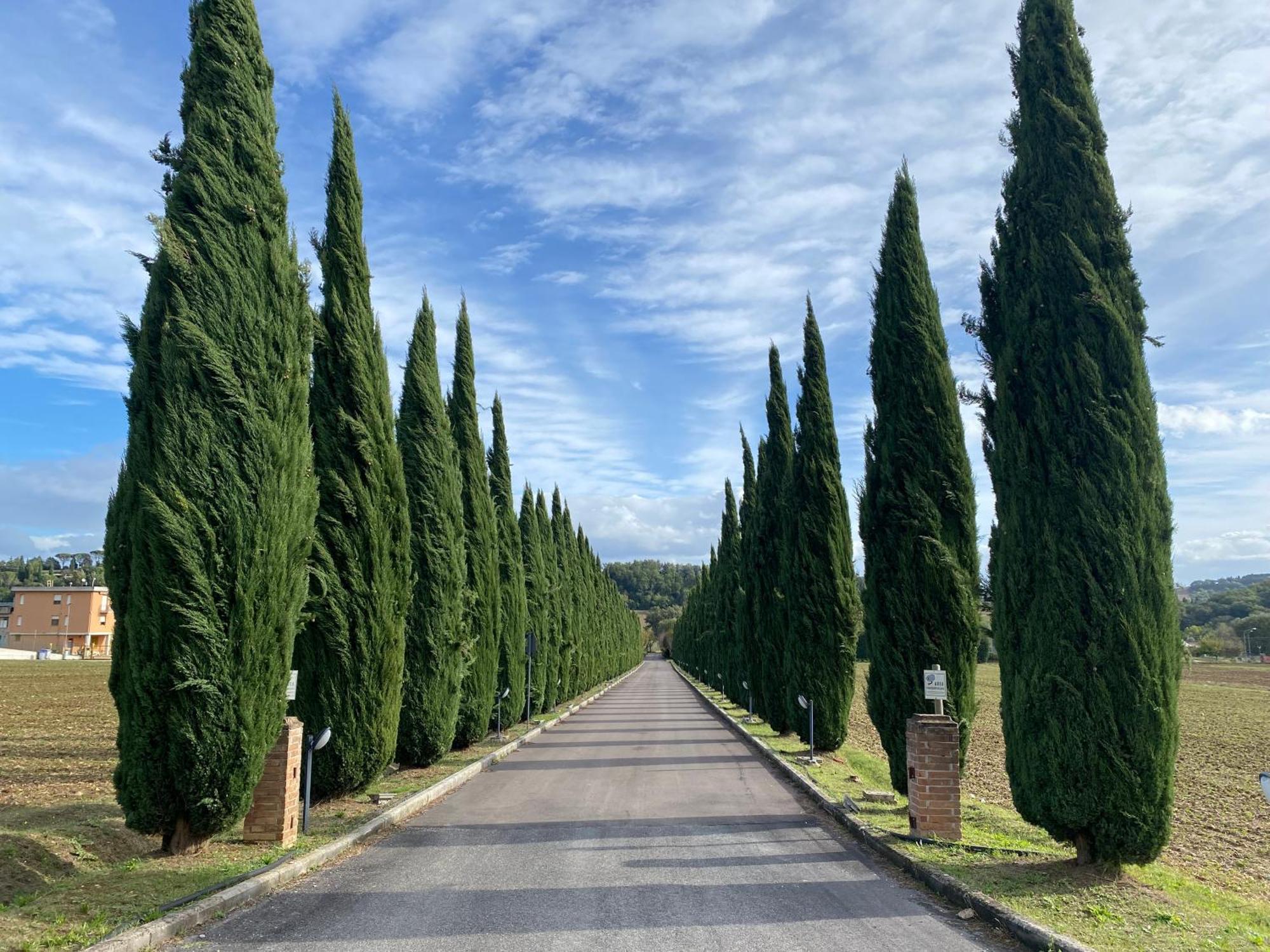 La Locanda Dei Golosi Bosco  Екстериор снимка